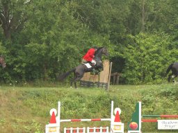 IMG_1484_web